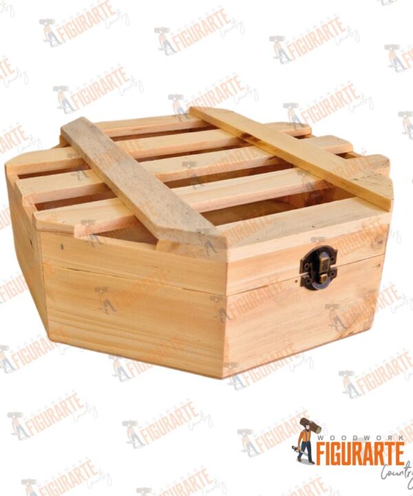 Alternative view of Guacal Octagono