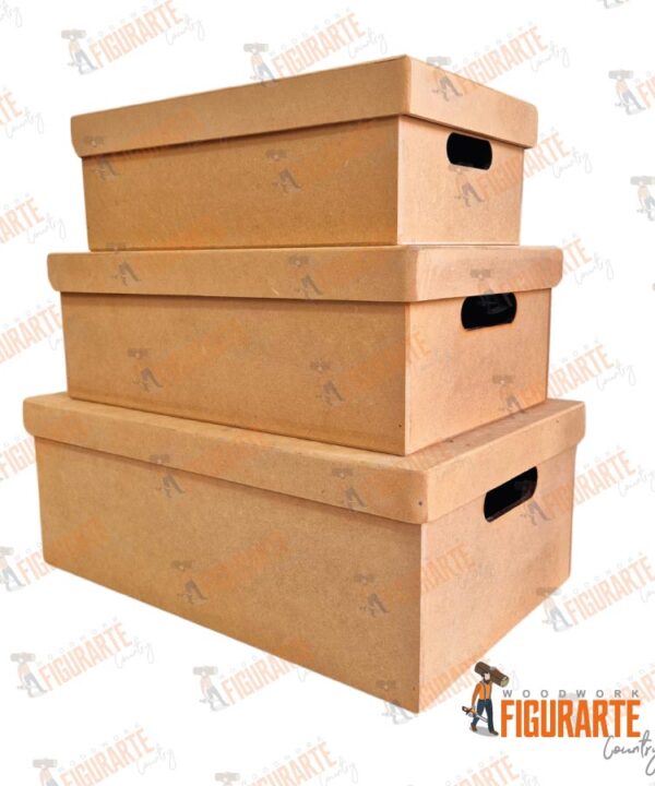 Caja Organizadora